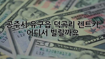 공주시 유구읍 덕곡리 렌트카, 어디서 빌릴까요?