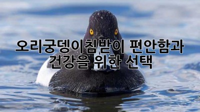 오리궁뎅이침받이: 편안함과 건강을 위한 선택